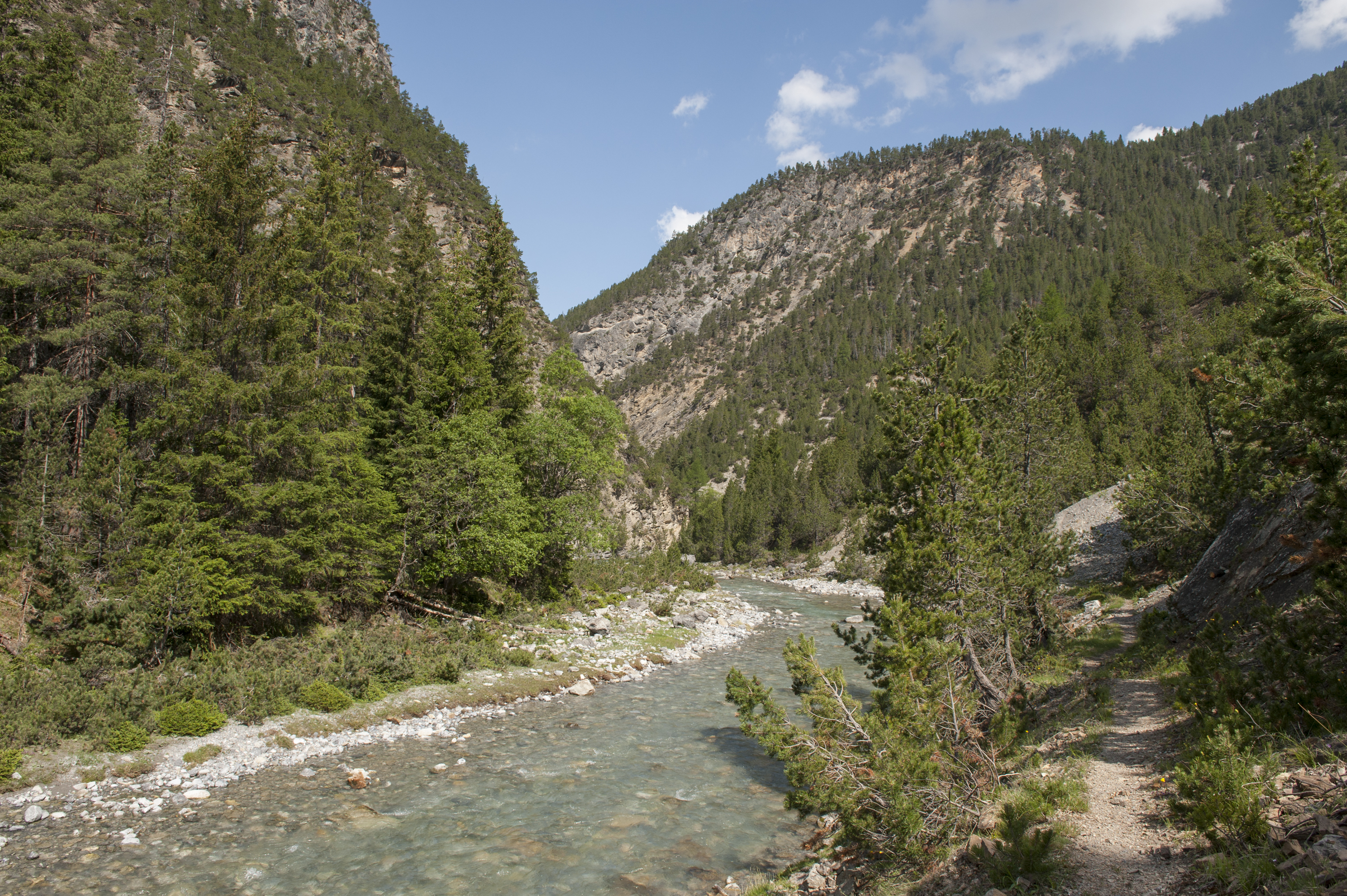 Spöl im Schweizerischen Nationalpark Spöl im Schweizerischen Nationalpark